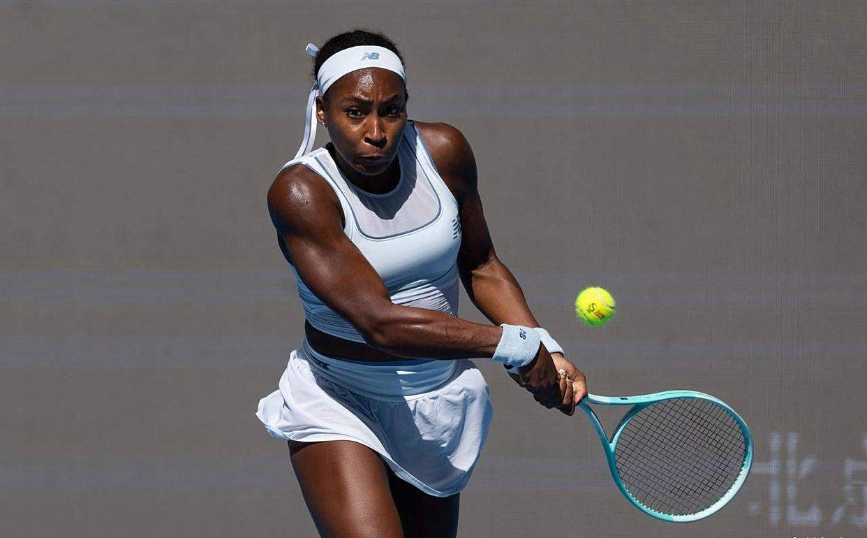 内莉科达 内莉科达